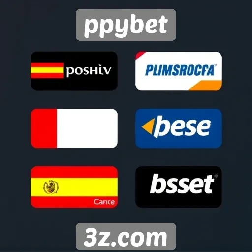 Métodos de pagamento aceitos no ppybet